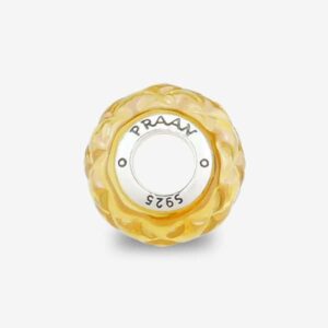 Pineapple-praan-charm-3BC011-4
