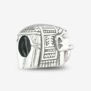 Indian-Elephant-praan-charm-1B028-2