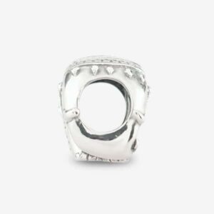 Indian-Elephant-praan-charm-1B028-3