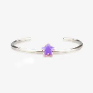 Wishing Star Crystal Charm 13 Wishing Star-crystal-praan-charm-2NB070-5