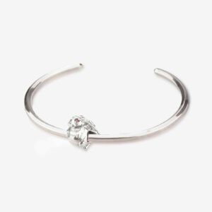 Draco-Dragon-Charm-Praan-2A022-9