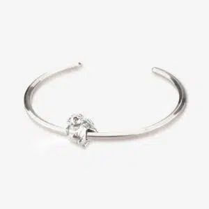 Draco Dragon Charm 13 Draco-Dragon-Charm-Praan-2A022-9